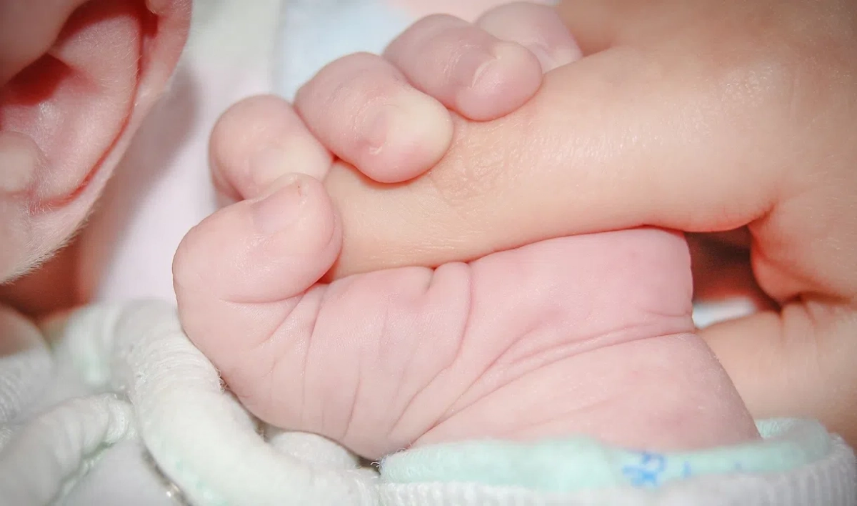 С 1 февраля размер материнского капитала на первого ребенка составит 524 тыс. рублей - tvspb.ru