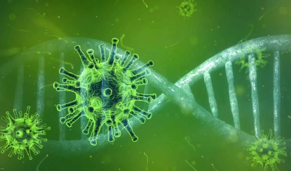 Названы самые популярные фейки и слухи о COVID - tvspb.ru