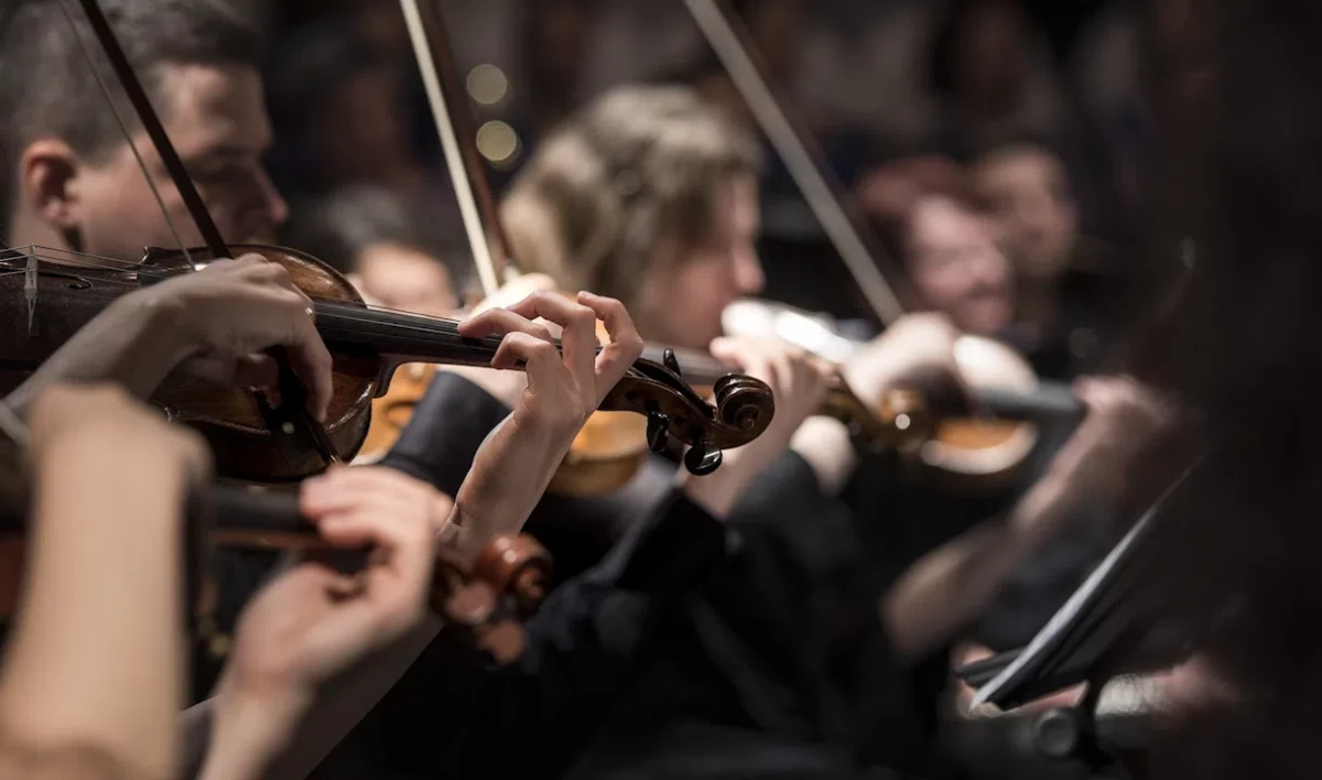 Петербуржцы смогут посетить концерт финалистов конкурса скрипачей VIOLINO - tvspb.ru