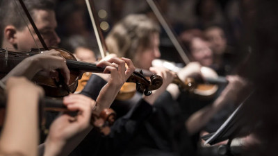 Петербуржцы смогут посетить концерт финалистов конкурса скрипачей VIOLINO