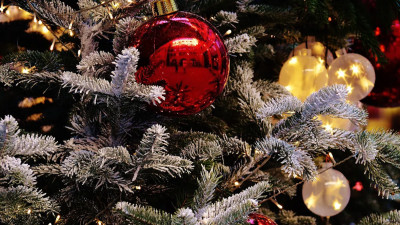 Россиянам рассказали, как можно отметить корпоратив в этом году