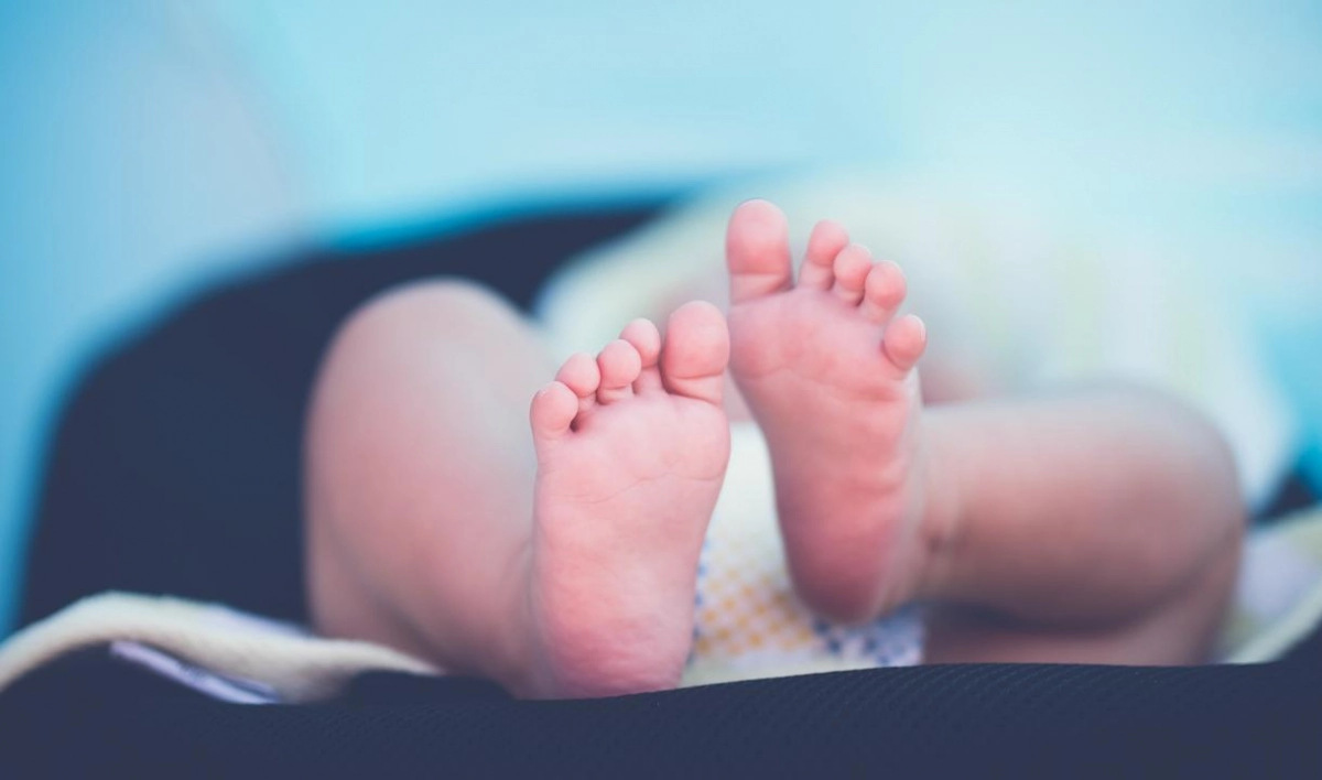 Специалисты детского омбудсмена проверили условия содержания малышей, рожденных сурмамами - tvspb.ru