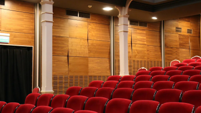 Еще 38 культурных проектов получат финансовую поддержку от Петербурга