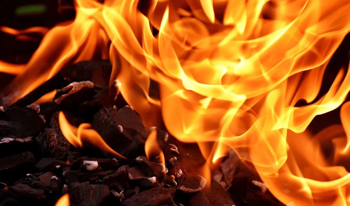 На Дороге в Угольную гавань сгорел гараж - tvspb.ru