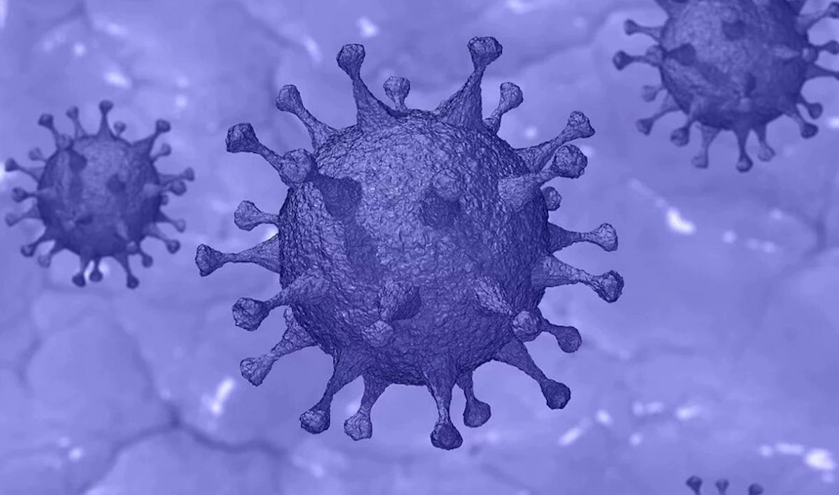 Ученые обнаружили неуязвимую для размножения коронавируса часть тела - tvspb.ru
