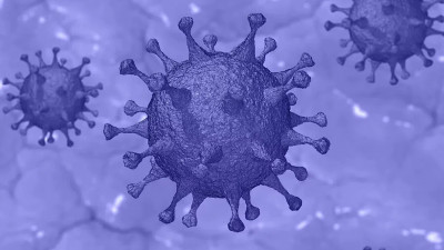 Ученые выяснили, как COVID-19 повреждает сосуды