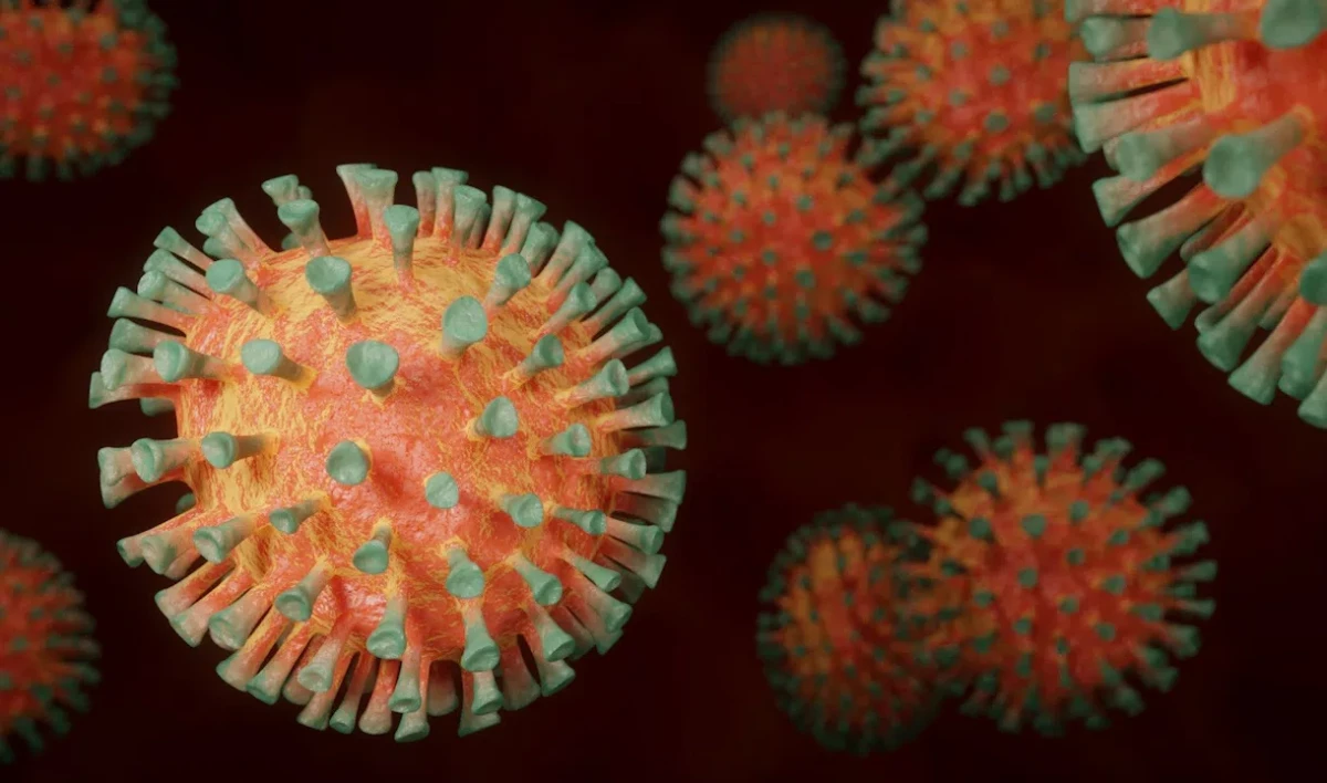 Эпидемиолог назвала причину изменения симптомов коронавируса - tvspb.ru