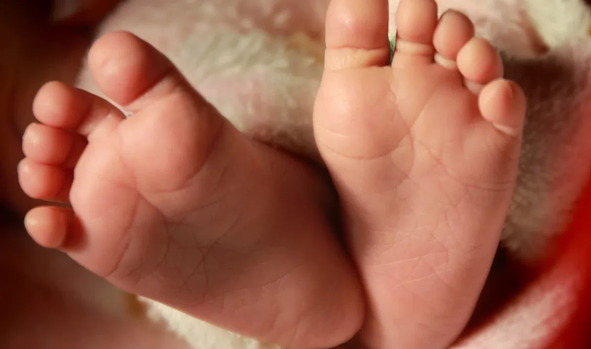 На церемонию регистрации новорожденных будут пускать только петербуржцев с QR-кодом - tvspb.ru