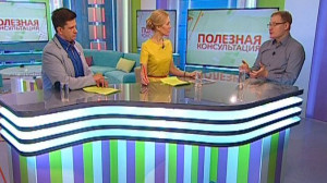 Кошки и собаки: весенние болезни животных и как их лечить? Консультация ветеринара