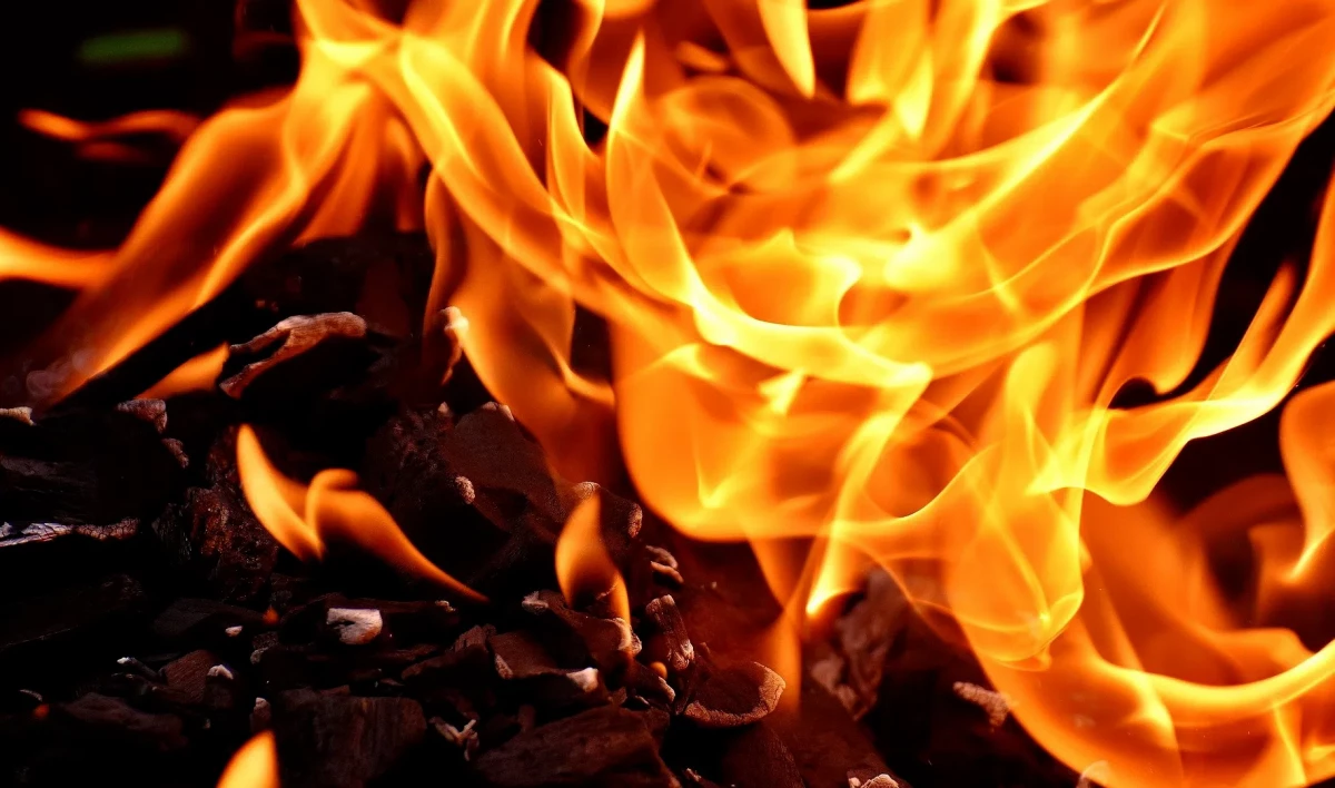 Бытовка сгорела дотла в поселке Металлострой - tvspb.ru