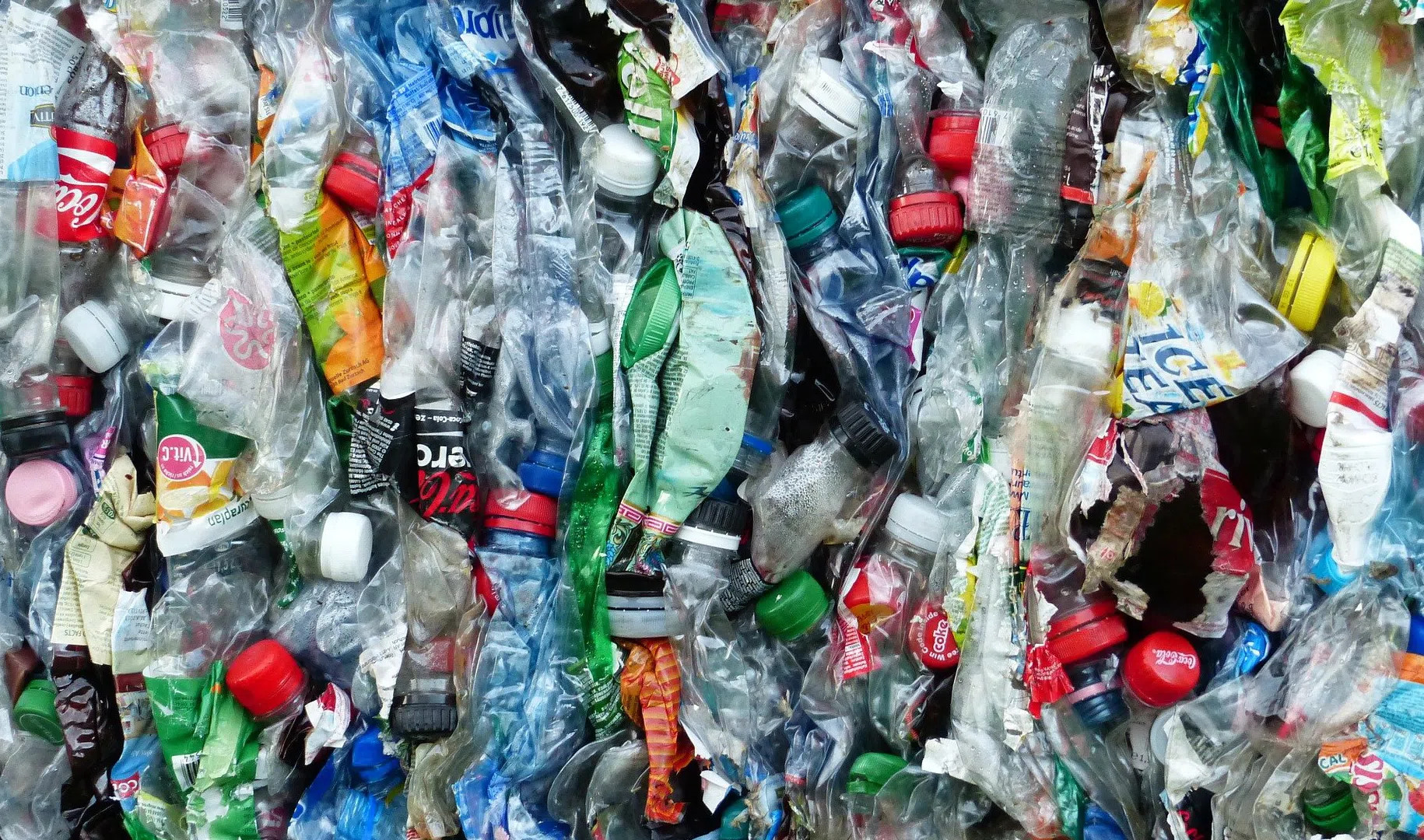 Три новых комплекса по переработке мусора могут появиться в Ленобласти