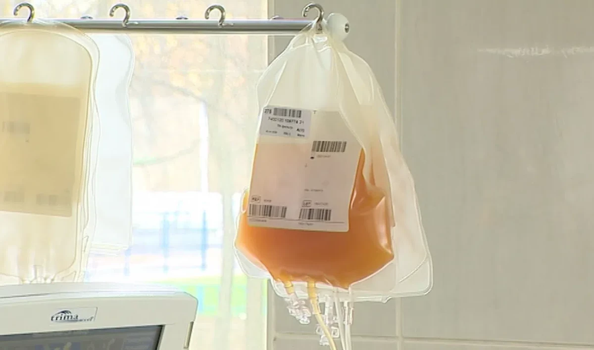 Более тысячи литров антиковидной плазмы заготовили в Петербурге для лечения COVID-больных - tvspb.ru