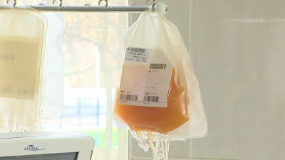 Вакцинированных от COVID петербуржцев призвали сдать плазму