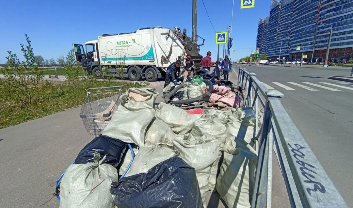 Более тонны мусора волонтеры убрали с берега Финского залива - tvspb.ru