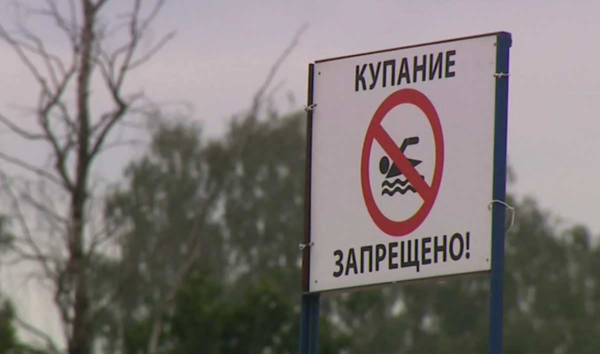Кишечные инфекции, гепатит: Петербуржцам не рекомендуют купаться в водоемах в черте города - tvspb.ru