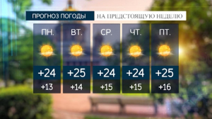 Погода в Петербурге на неделю