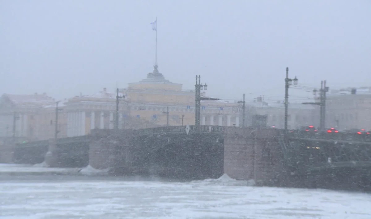 «Илона» принесла в Петербург снег, дождь и сильный ветер - tvspb.ru