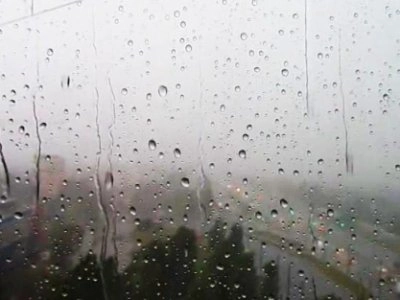 Жителей Ленобласти предупредили о тумане и ливнях 25 июня - tvspb.ru