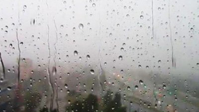 Жителей Ленобласти предупредили о тумане и ливнях 25 июня