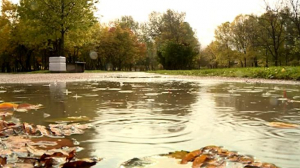 «Квентин» принес в Петербург проливные дожди
