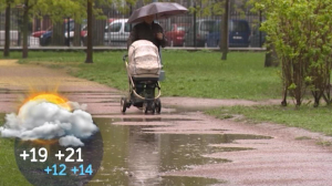 В пятницу в Петербурге возможны дожди и грозы