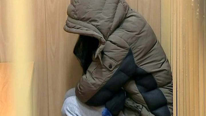 Женщина, обвиняемая в похищении ребенка в Петергофе, предстанет перед судом 28 апреля - tvspb.ru