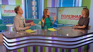 На совести у дачников: как охранять лесополосу в садоводствах? Консультация адвоката