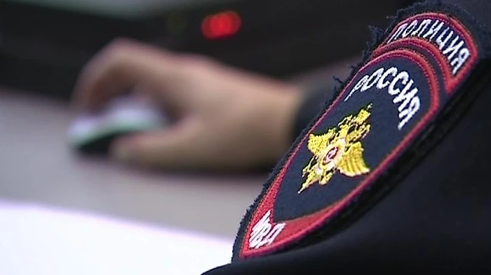 Полиция задержала женщину, похитившую ребенка в Петергофе - tvspb.ru