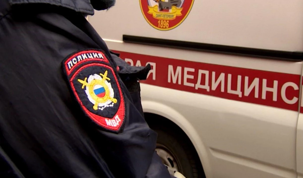 Пьяный «гонщик» сбил полицейского в Бокситогорском районе - tvspb.ru