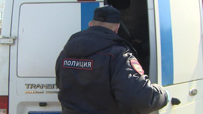 Сотни петербуржцев получили предупреждения за прогулки в Московском парке Победы и Удельном парке