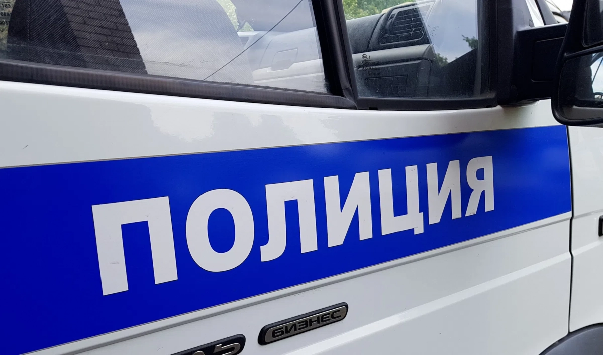 В Петербурге задержали женщину, ударившую сотрудницу полиции деревянной палкой - tvspb.ru