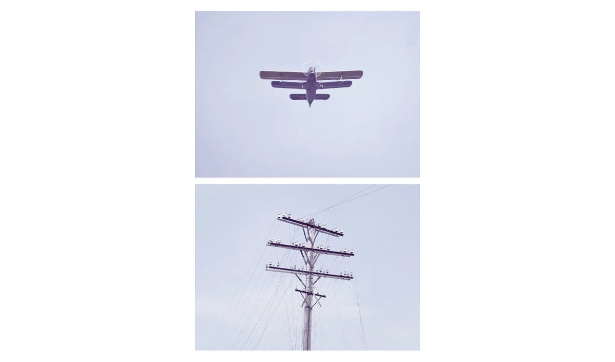 В музее «Эрарта» откроется выставка фотографа Жени Миронова - tvspb.ru