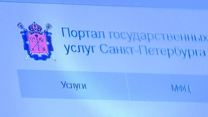 В первую ночь записи в школы через портал госуслуг Санкт-Петербурга принято свыше 7 тысяч обращений - tvspb.ru