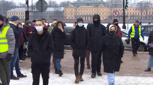 Политологи и общественники обращают внимание на то, что в интернете, по их мнению,  развернулась активная кампания с призывами к петербуржцам выйти на несанкционированные акции
