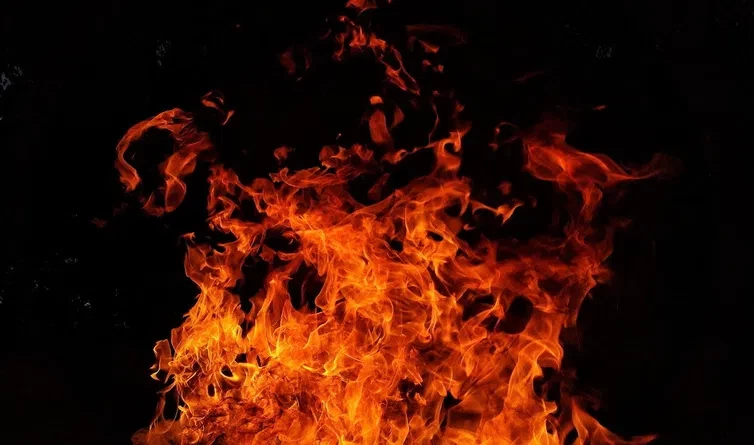 Двое взрослых и ребенок погибли при пожаре в Отрадном - tvspb.ru