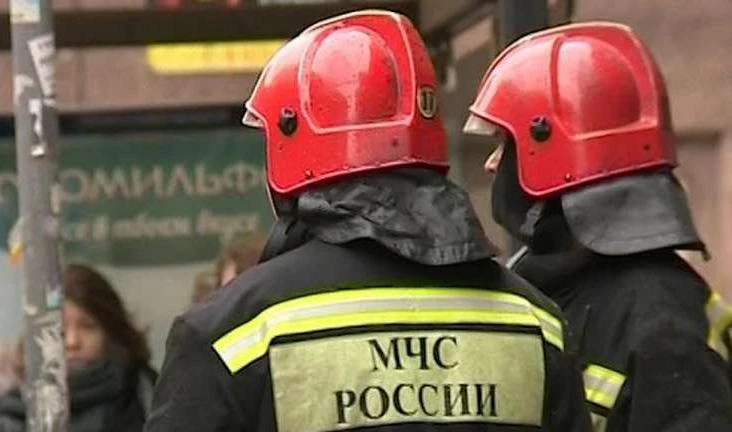 В Парголово горели баня и курятник - tvspb.ru