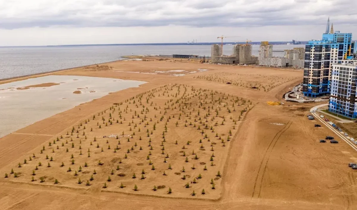 Набережная Миклухо-Маклая появилась на Васильевском острове - tvspb.ru