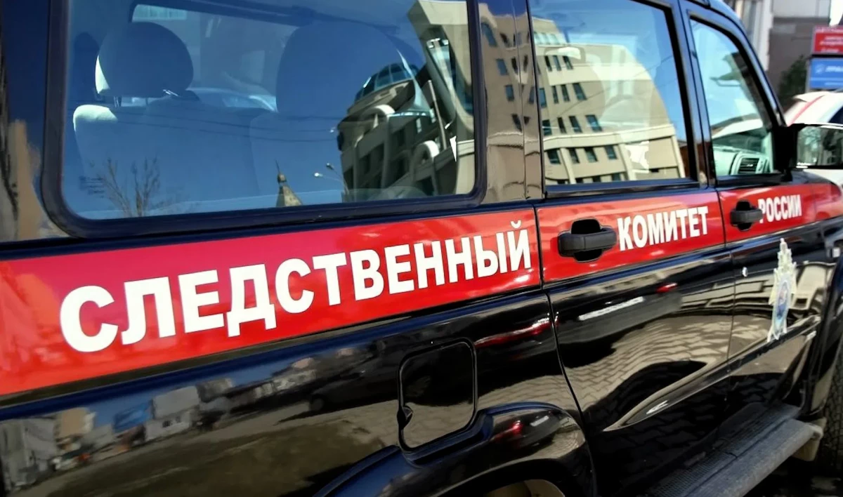 Председатель СК потребовал доклады о сходе льда на людей в Петербурге - tvspb.ru