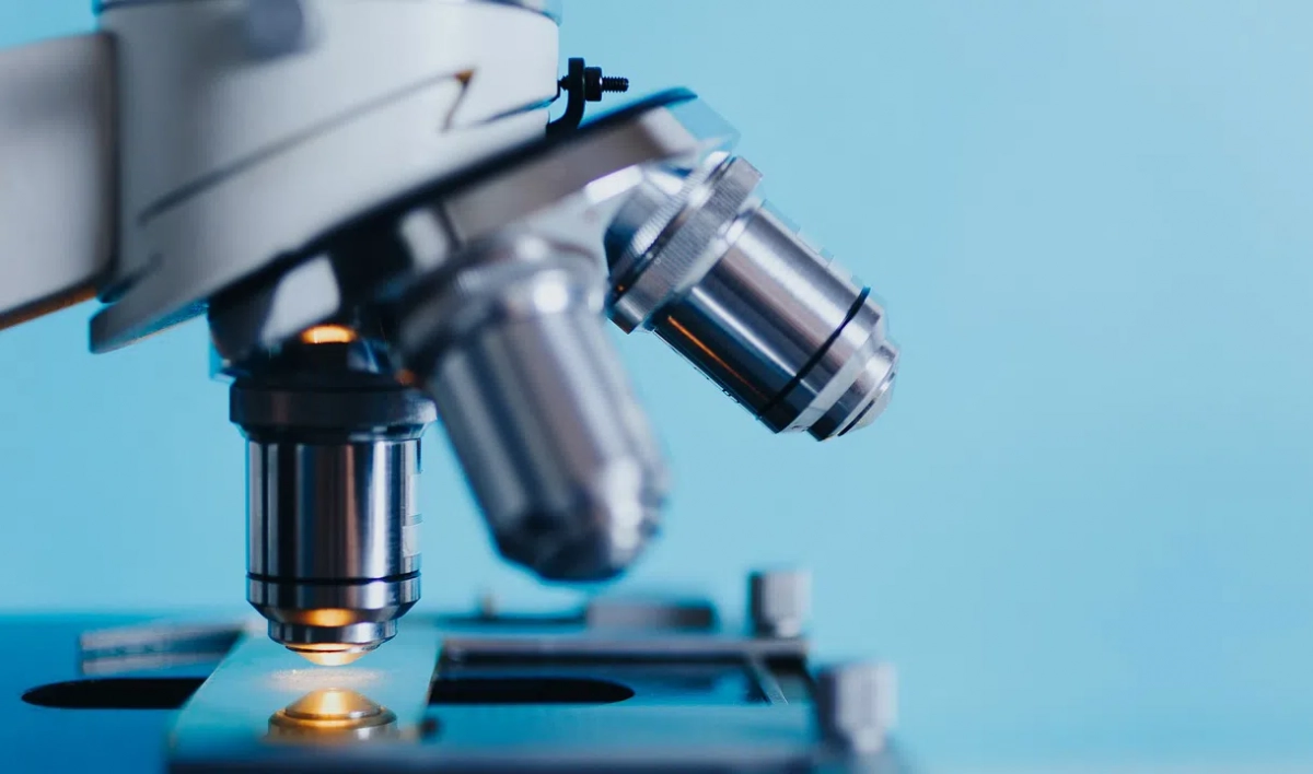 Вирусолог из Уханя не исключила, что COVID искусственный - tvspb.ru