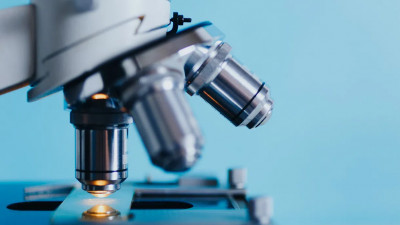 Вирусолог из Уханя не исключила, что COVID искусственный