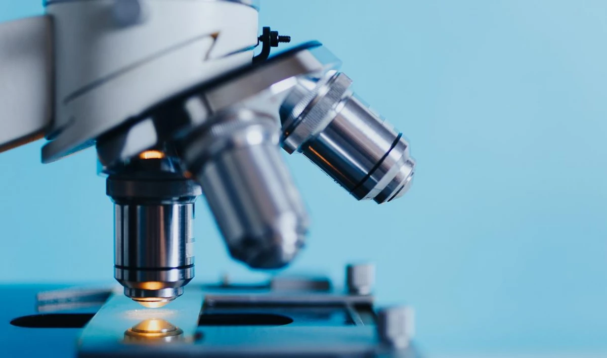 Ученые Петербурга нашли препарат, облегчающий болезнь Альцгеймера - tvspb.ru