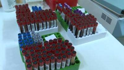 За неделю в Петербурге сделали более 138 тысяч тестов на коронавирус