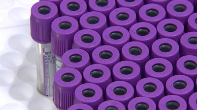 В Петербурге тесты на COVID сдали почти 25 тысяч человек