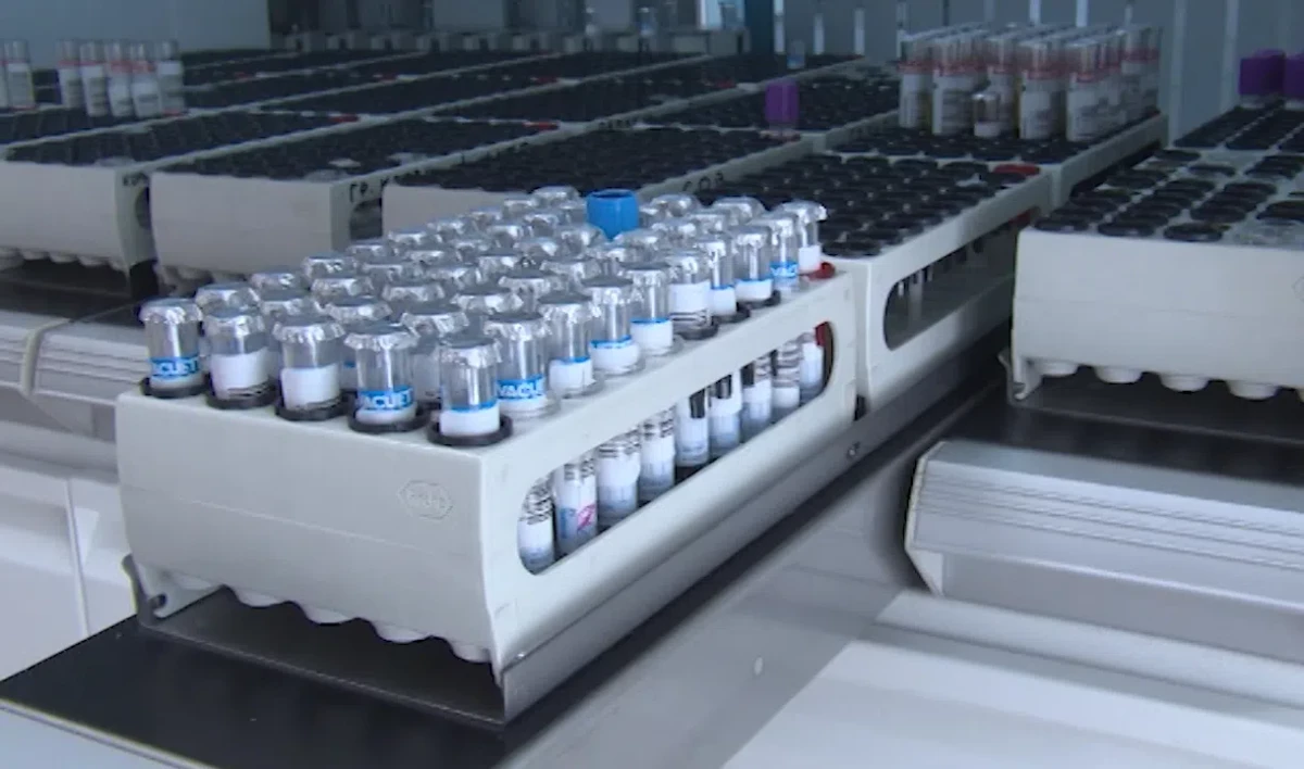 В Петербурге за сутки от коронавируса выздоровели 24 тысячи человек - tvspb.ru