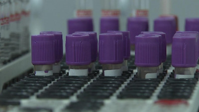 Более 17 тысяч человек обследованы на COVID-19 в Петербурге за сутки