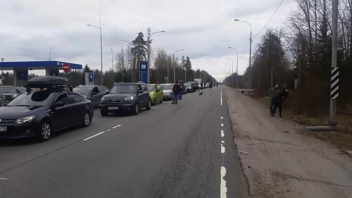 На трассе Петербург — Луга пробка из-за дорожных работ растянулась  почти на 30 километров | Телеканал Санкт-Петербург