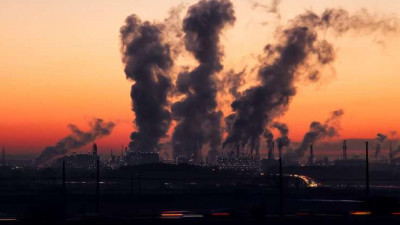 Петербургские предприятия вошли в список лучших экспортеров СЗФО