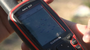 Пропавших будут искать по геолокации мобильного телефона