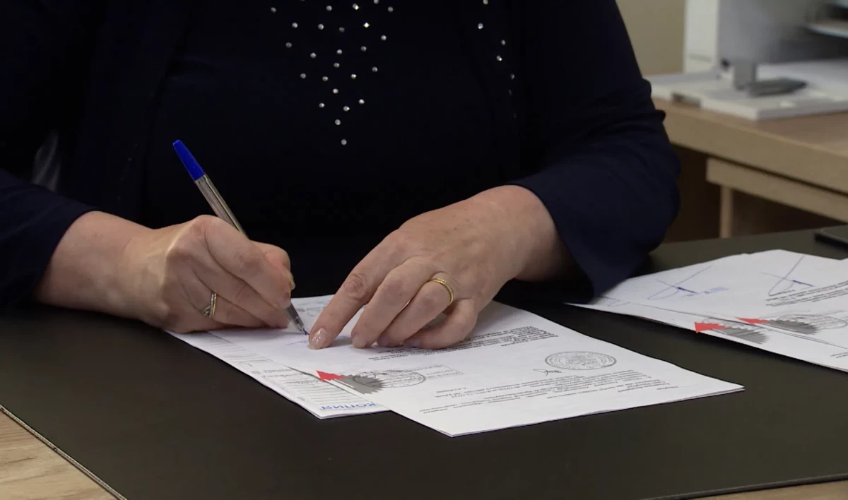 ФНС приостановила подачу заявлений на банкротство должников - tvspb.ru