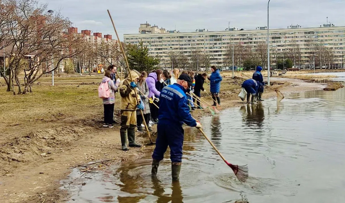 В Калининском районе очистили пруды от мусора - tvspb.ru